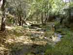 Arroyo Helecharn junto a puente de Santa Catalina (cerca de la ruta PR4)