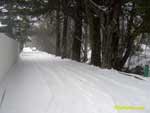 Cercedilla tras la nevada