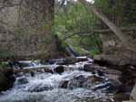 Ro Guadarrama bajo el puente del Molino