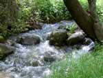 Arroyo del parque de Mataelpino