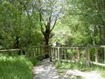 Puente sobre el arroyo del parque de Mataelpino