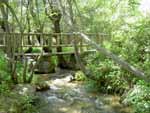 Puente sobre el arroyo del parque de Mataelpino