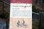 Necrpolis de Prioriato de San Frutos